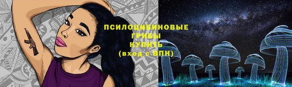 стафф Дмитровск